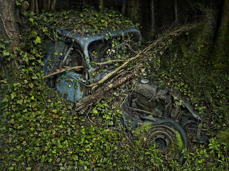 «Райская парковка» от фотографа Питера Липпмана [фото]